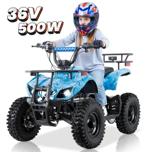 Electric ATV Dirt Quad/500W Brushless Powerful Motor Off-Road Vehicle